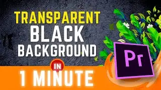 Make Black Background Transparent In Premiere Pro