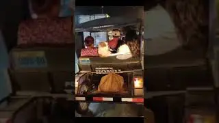 apa kau liat !! 🐕🐕😂