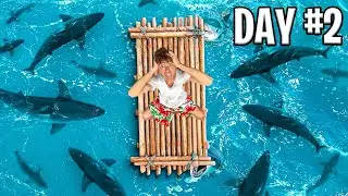 We Got Stranded At SEA..