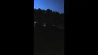 bird concert