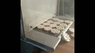 Машина опыления хлебцев и снеков фруктозным сиропом с мойкой сетки УЗО-2