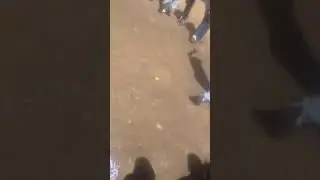 Наврузи ВАХДАТ Д.В