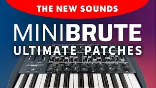 ARTURIA MINIBRUTE | ULTIMATE PATCHES | The NEW Next-Level Synth Sounds | As Seen on Arturia.com