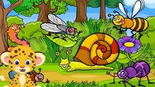 Adivina los insectos