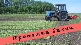✔Как мы пропалываем бахчу фрезой| Выращивание бахчи без гербицидов |