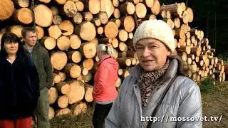Преступления автодора в Московской области