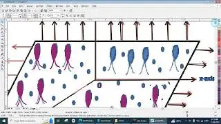 Corel Draw Diagram Tracing Lecture 2 -11.06.2023