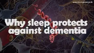 Why sleep protects against dementia. Animated explainer about the glymphatic system
