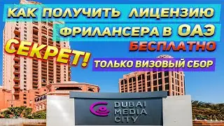Как получить лицензию фрилансера в ОАЭ бесплатно! Не покупай лицензию, пока не посмотришь это  видео