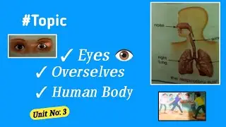 Overselves The Human Body Unit 1 | Mika Reads