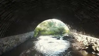 The beauty of water