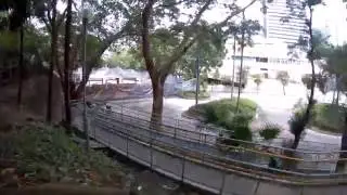 20161023 practicing FPV in arco mode in a small tree park, Firefly Q6