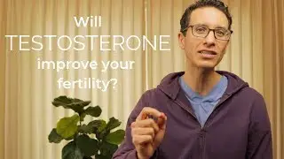 Doctor explains Testosterone - does it help or hurt fertility?
