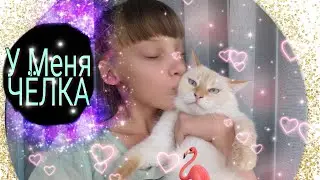Мне ОТРЕЗАЛИ ЧЁЛКУ. ..........