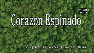 Santana ft. Mana - Corazon Espinado (Karaoke/Lyrics/Instrumental)