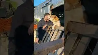 воспоминание