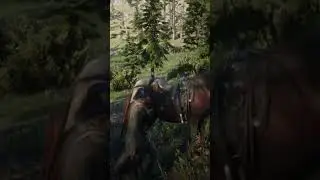 Boadicea vs. Cougar, in Red Dead Redemption 2