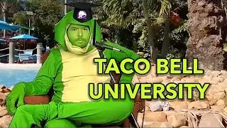 TACO BELL UNIVERSITY - Therapy Gecko Highlights