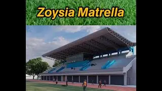 Zoysia Matrella