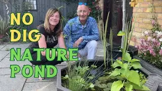 Easiest Garden Wildlife Pool Build for FROGS, BUGS & BIRDS  🐸🐝🐞