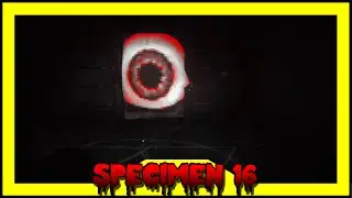 The Haunted PS1 CHAIN [SPECIMEN #16]