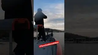 When you've never caught smallmouth, every bite can be a new 
