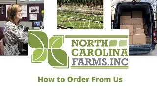 How To Order Starter Plants