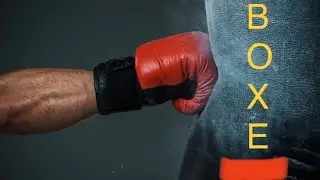 Kick Boxing | Samy Zaidi vice-champion de France 2024 @bladfilmshjm3377