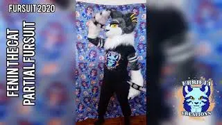 Fenin the cat Partial fursuit