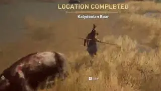 Finally killing the Kalydonain Boar (Assassin’s Creed Odyssey)
