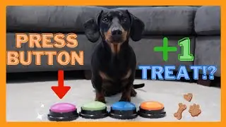 Doing whatever the button says 🕹️