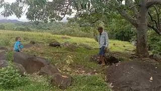 kebun