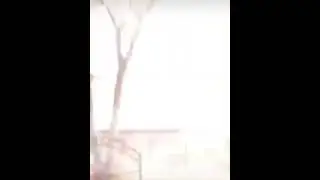 какой колючий ёжик