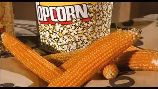 How it's Made: Popcorn