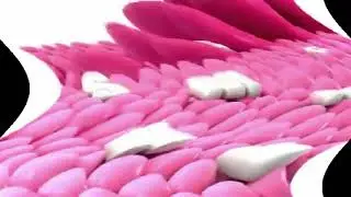 (REQUESTED) Samsung logo balls Feels Dizzy^2