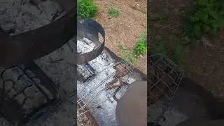жареная медуза