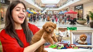 A Day in my Life as a Fur Mom!!