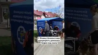 У Вінниці безкоштовно вакцинують домашніх тварин від сказу 