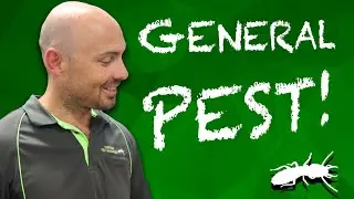 Household Pests - Get a Quote!