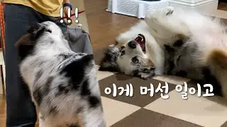 아아 거긴 안돼 ㅠ.ㅜ| 아빠의 중요한 곳을...