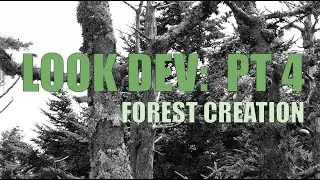 Forest Creation:  Look Dev 4  #animation #unrealengine #hiking #greenscreen