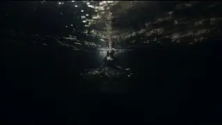 Nenufar - Nature (Official Music Video)