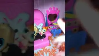 Строем дом для Catti (lps)