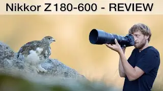 The perfect all-round zoom for wildlife photographers? Nikon Z180-600mm Review