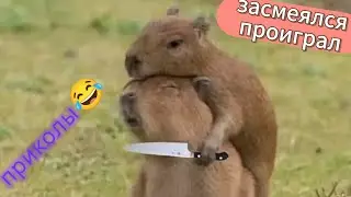 ПРИКОЛЫ ИЗ ВСЕГО ИНТЕРНЕТА, ЗАСМЕЯЛСЯ ПРОИГРАЛ, 99999% ПРОИГРЫВАЮТ😂