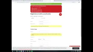DAMINO BERKY Live Stream