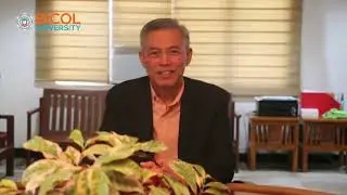 51st Founding Anniversary: Virtual Opening Ceremony
