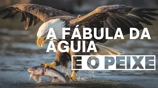A FÁBULA DA ÁGUIA E O PEIXE
