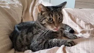 Jenny crazying in bed in the morning