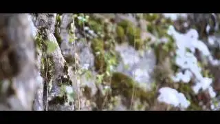 GH2 / CANON 6D / GH3 Comparison (no grade)